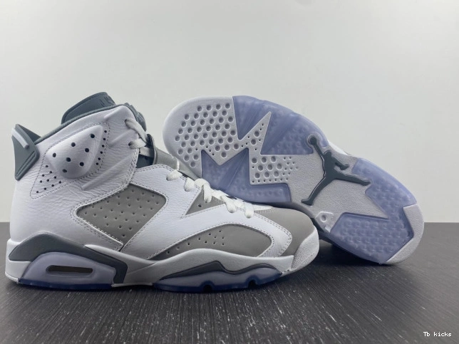 Reps TBK CT8529-100 Cool Jordan Grey Air 6 0709
